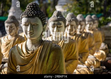 Statue di Buddha al Monastero Maha Bodhi Tahtaung, Monywa Township, Sagaing Regione, Myanmar, Asia Foto Stock