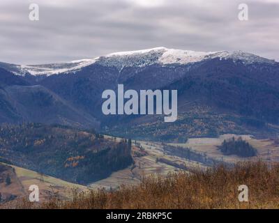 catena montuosa con cime innevate. freddo scenario di novembre della campagna dei carpazi Foto Stock