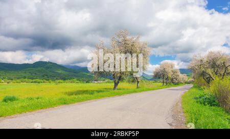 la bellezza della primavera è catturata nello sfondo panoramico della campagna, mentre la strada si snoda attraverso campi lussureggianti e alberi in fiore. paesaggio circondato b Foto Stock
