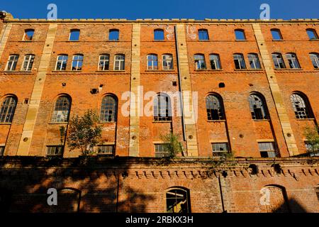 Rovine industriali dell'ex VEB Zitza Zeitz am Mühlgraben, Burgenlandkreis, Sassonia-Anhalt, Germania Foto Stock