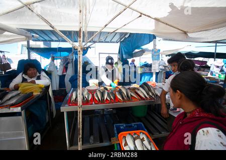 Arequipa, Perù; 1 ottobre 2022: Bancarelle di pesce al mercato alimentare Sant Camilo ad Arequipa, Perù. Foto Stock