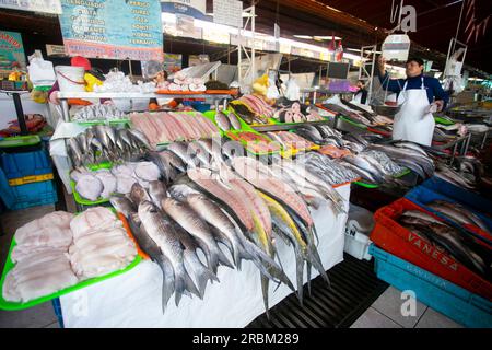 Arequipa, Perù; 1 ottobre 2022: Bancarelle di pesce al mercato alimentare Sant Camilo ad Arequipa, Perù. Foto Stock