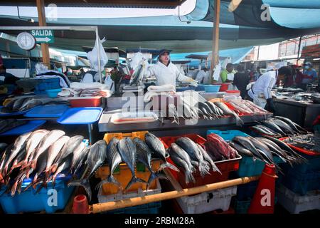 Arequipa, Perù; 1 ottobre 2022: Bancarelle di pesce al mercato alimentare Sant Camilo ad Arequipa, Perù. Foto Stock