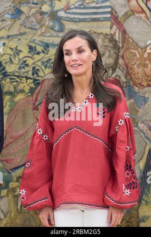 Madrid, Madrid, Spagna. 10 luglio 2023. La regina Letizia di Spagna partecipa a un'udienza con la rappresentanza del gruppo SM e vincitori della 45a edizione dei premi SM per la letteratura per bambini e giovani "Barco de Vapor" e "Gran Angular" al Palazzo Zarzuela il 10 luglio 2023 a Madrid, Spagna (Credit Image: © Jack Abuin/ZUMA Press Wire) SOLO USO EDITORIALE! Non per USO commerciale! Crediti: ZUMA Press, Inc./Alamy Live News Foto Stock