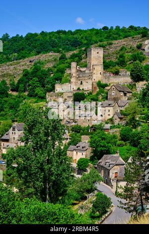 Francia, Aveyron (12), Belcastel, etichettato come i villaggi più belli della Francia Foto Stock