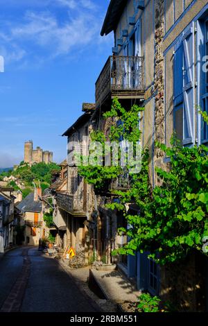 Francia, Aveyron (12), Najac, etichettato come i villaggi più belli della Francia, il villaggio medievale e il castello di Najac Foto Stock