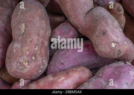 Una foto ravvicinata di patate dolci accumulate in un negozio al dettaglio, evidenziandone i colori accattivanti e la preparazione alla cottura. Foto Stock