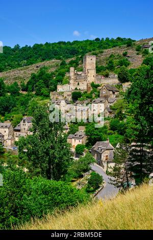 Francia, Aveyron (12), Belcastel, etichettato come i villaggi più belli della Francia Foto Stock