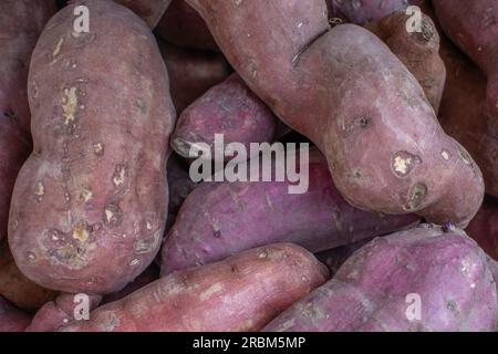 Una foto ravvicinata di patate dolci accumulate in un negozio al dettaglio, evidenziandone i colori accattivanti e la preparazione alla cottura. Foto Stock