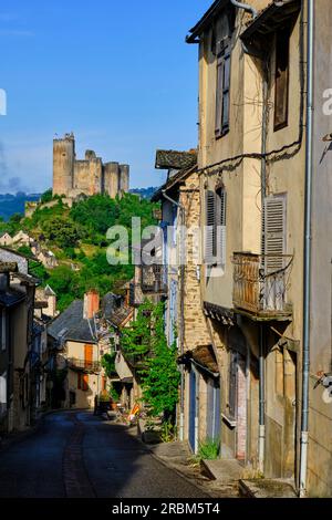 Francia, Aveyron (12), Najac, etichettato come i villaggi più belli della Francia, il villaggio medievale e il castello di Najac Foto Stock