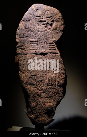 Francia, Aveyron, Rodez, Museo Fenaille, statua di Jouvayrac menhir Foto Stock