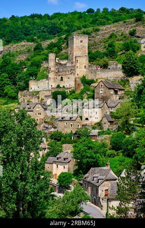 Francia, Aveyron (12), Belcastel, etichettato come i villaggi più belli della Francia Foto Stock