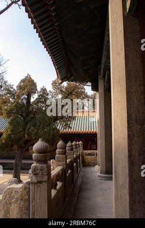 Città fortificata di Qufu, patrimonio dell'umanità dell'UNESCO, dove si trova il Tempio di Confucio a Qufu, provincia di Shandong, Cina Foto Stock