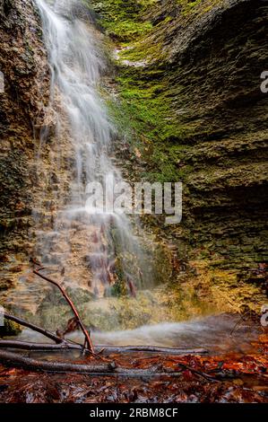 Cascata lunga esposizione nella foresta a Burschenplatz nel Rautal con foglie e rami rossi in primo piano, Jena, Turingia, Germania Foto Stock