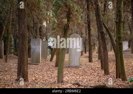 Tempio e cimitero di Confucio e la residenza della famiglia Kong a Qufu - Qufu, Cina - sito dell'UNESCO Foto Stock