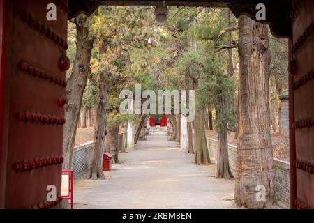 Tempio e cimitero di Qufu Confucio e residenza di Kong-Qufu, Cina. Spazio di copia per testo e sfondo Foto Stock