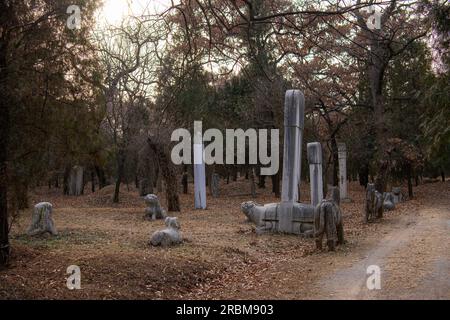 Un cimitero cimiteriale per Confucio nella città di Qufu, nella provincia cinese di Shandong, nel tardo pomeriggio. Foto Stock