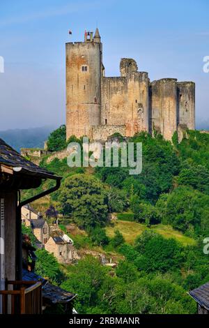 Francia, Aveyron (12), Najac, etichettato come i villaggi più belli della Francia, il villaggio medievale e il castello di Najac Foto Stock