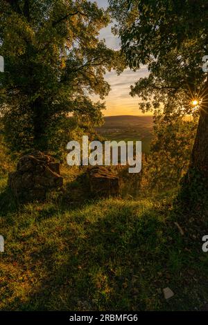 Atmosfera serale sul comune di Gössenheim, la Werntal vicino a Gössenheim dalle rovine del castello di Homburg, bassa Franconia, Franconia, Baviera, G. Foto Stock