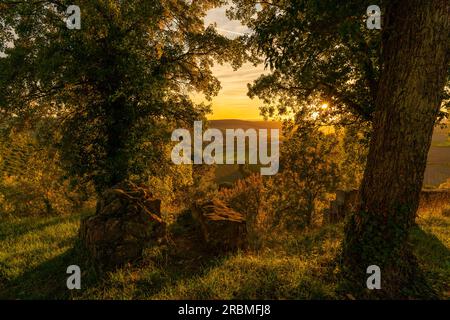 Atmosfera serale sul comune di Gössenheim, la Werntal vicino a Gössenheim dalle rovine del castello di Homburg, bassa Franconia, Franconia, Baviera, G. Foto Stock