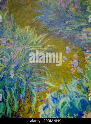 Irises, Claude Monet, circa 1914-17, Foto Stock