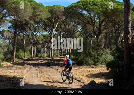 Felice donna anziana in bicicletta con la sua mountain bike elettrica sulle scogliere di Capo Trafalgar, Costa de la Luz, Andalusia, Spagna Foto Stock