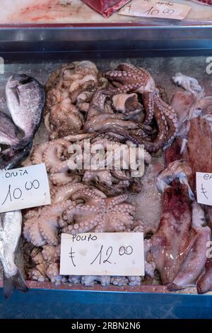 pctopus fresco (traduzione: pulpo) e orata marina (traduzione: orata) venduti al mercato ittico italiano a prezzo contenuto Foto Stock