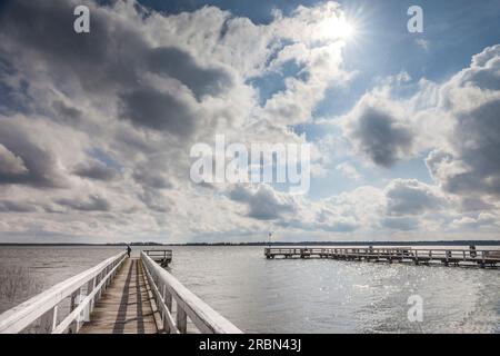 Pontile a Wieck am Darss, Meclemburgo-Pomerania occidentale, Germania settentrionale, Germania Foto Stock