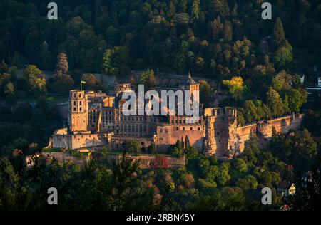 Il famoso castello di Heidelberg, in Germania, al sole serale dell'ora d'oro. Vista dal monte Heiligenberg. Foto Stock