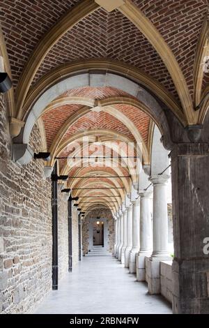 Musée de la vie Wallonne, Belgio, Liegi Foto Stock