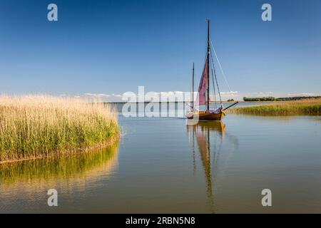 Zeesenboot sul Bodden vicino ad Althagen, Meclemburgo-Pomerania Occidentale, Germania settentrionale, Germania Foto Stock