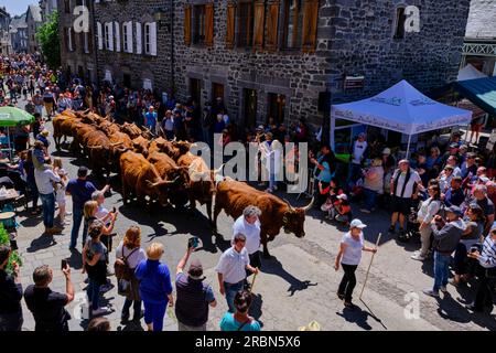 Francia, Cantal, Allanche, Parco naturale regionale dei Vulcani dell'Alvernia, altopiano di Cézallier, festival di Estive Foto Stock