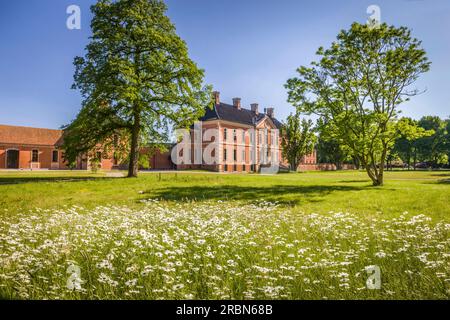 Prato di fiori nel parco del castello di Bothmer a Klütz, Meclemburgo-Pomerania occidentale, Germania settentrionale, Germania Foto Stock