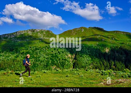 Francia, Cantal (15), Parco naturale regionale Volcans d'Auvergne, montagne Cantal, escursione a Puy Mary Foto Stock