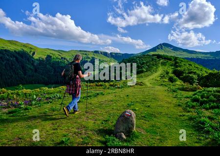 Francia, Cantal (15), Parco naturale regionale Volcans d'Auvergne, montagne Cantal, escursione a Puy Mary Foto Stock