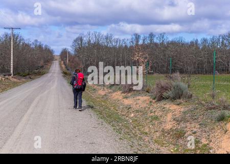 Navarra, Spagna, 04 dicembre, 2022: Passeggiata pellegrina lungo il Camino De Santiago, la Via San Itinerario di pellegrinaggio di James, Navarra, Spagna. Foto Stock