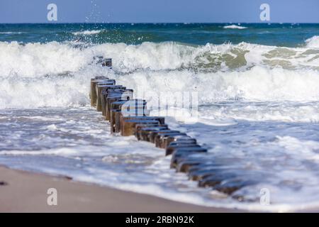Groynes sulla spiaggia di Heiligendamm, Meclemburgo-Pomerania occidentale, Mar Baltico, Germania del Nord, Germania Foto Stock