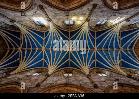 Soffitto a volta della cattedrale di St Giles su High Street, Edimburgo, città di Edimburgo, Scozia, Regno Unito Foto Stock