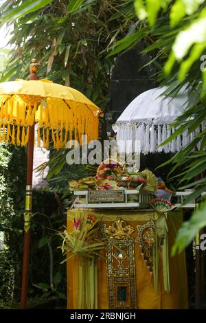 Canang sari, contenitore di bambù intessuto con riso, fiori, incenso, dolci e frutta. Si tratta di un'offerta agli dei, come gesto di gratitudine a Bali Foto Stock