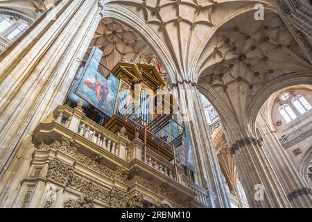 Organo barocco a canne presso la nuova Cattedrale di Salamanca Interior - Salamanca, Spagna Foto Stock