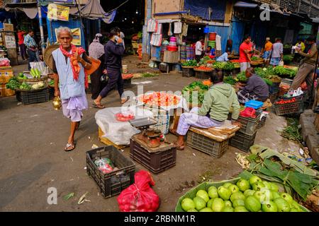 India, Bengala Occidentale, Calcutta, vita di strada, mercato vegetale Foto Stock