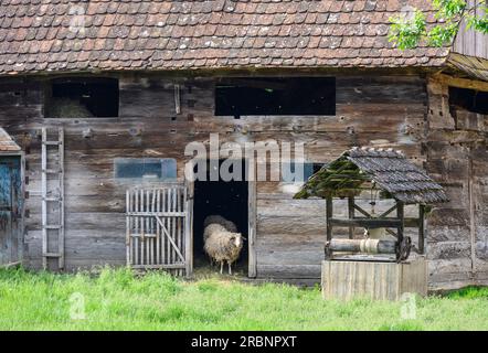 Un cortile agricolo con tradizionale fienile in legno e pozzo nel villaggio di Suvoj. Parco naturale di Lonjsko Polje, Croazia. Foto Stock