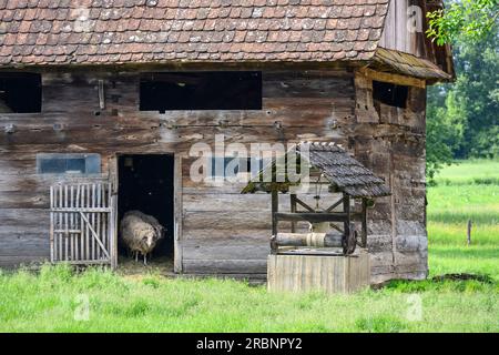 Un cortile agricolo con tradizionale fienile in legno e pozzo nel villaggio di Suvoj. Parco naturale di Lonjsko Polje, Croazia. Foto Stock