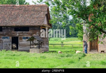 Un cortile agricolo con tradizionale fienile in legno e pozzo nel villaggio di Suvoj. Parco naturale di Lonjsko Polje, Croazia. Foto Stock