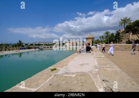 Dalt Murada Promenade, sulle mura rinascimentali di Palma di Maiorca, Isole Baleari, Spagna. Foto Stock