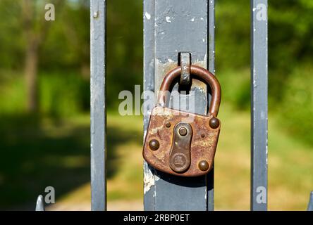 Un vecchio lucchetto su un cancello di ferro battuto Foto Stock