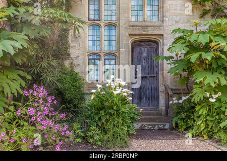 Nyman's Garden su Haywards Heath, West Sussex, Inghilterra Foto Stock