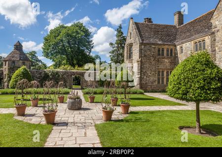 Nyman's Garden su Haywards Heath, West Sussex, Inghilterra Foto Stock