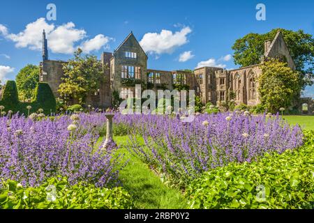 Nyman's Garden su Haywards Heath, West Sussex, Inghilterra Foto Stock