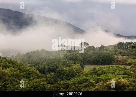 Nebbia che si innalza da un paesaggio verde e lussureggiante in Umbria, Italia Foto Stock